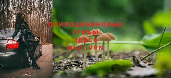 экстази Богородск