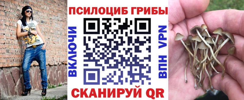 Псилоцибиновые грибы Cubensis  Купить  Михайловка 
